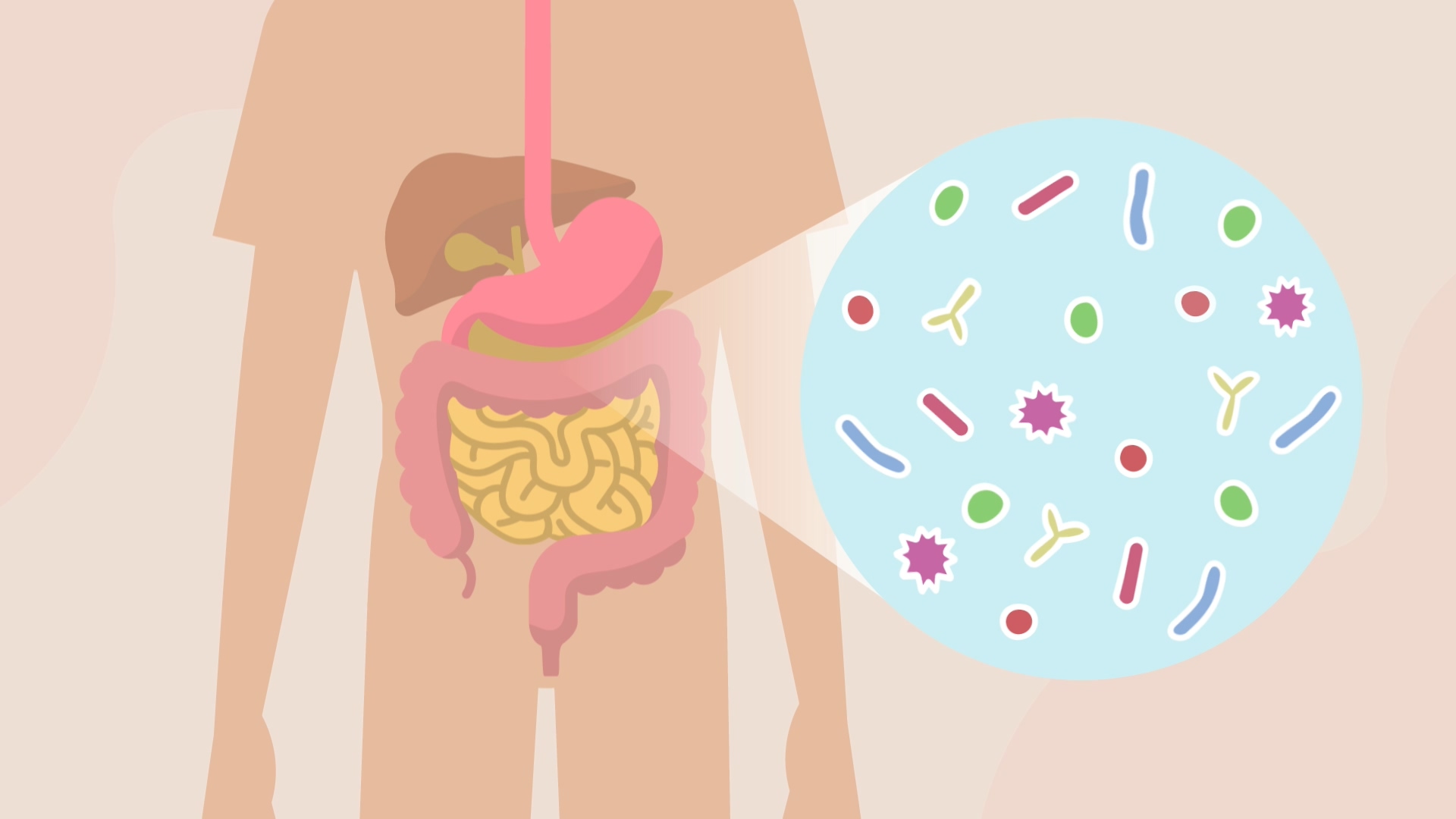 Free HTML5 template by FREEHTML5.co